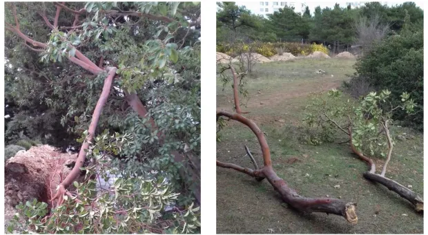 Новости Севастополя - В Севастополе на останках павших воинов строят жильё для военных