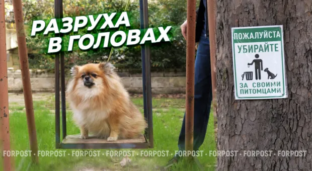 Новости Севастополя - Качаем прессу: пляж «на скалках», театральный сезон и наш американский флот 