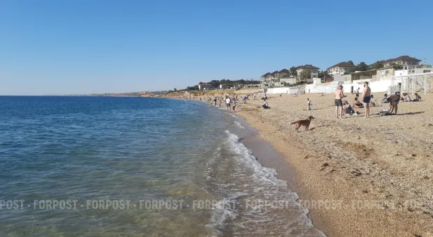 Новости Севастополя - «Вымпел» без конкурса получил здания в Севастополе