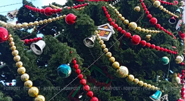 Новости Севастополя - Новогоднее поздравление председателя Севастопольской городской государственной администрации Сергея Куницына