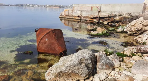 Новости Севастополя - В Севастополе продали стадион «Чайка» за 5 млн грн