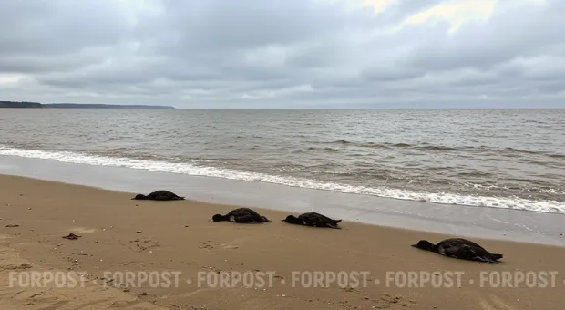 Новости Севастополя - Почём вода в Севастополе?