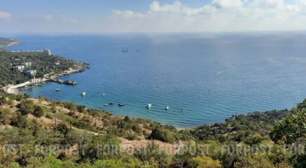 Новости Севастополя - А без сберкнижки можно?