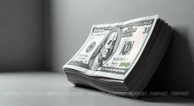 Новости Севастополя - В Севастополе на китайский Новый год соорудят елку из компьютерных мышек