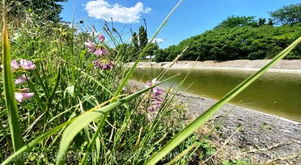 Новости Севастополя - В Северо-Крымский канал начала поступать вода