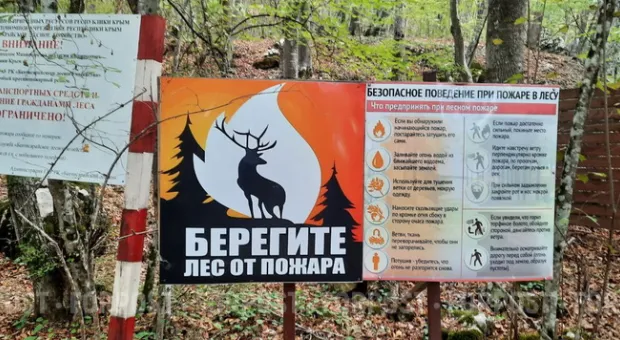 Новости Севастополя - Трудные дни для зимующих птиц