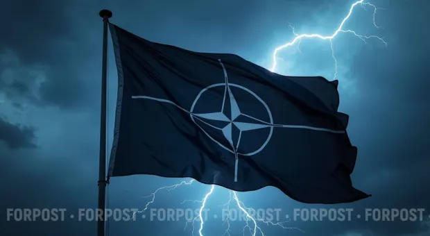 Новости Севастополя - Кое-кто в Севастополе все же хочет быть в НАТО