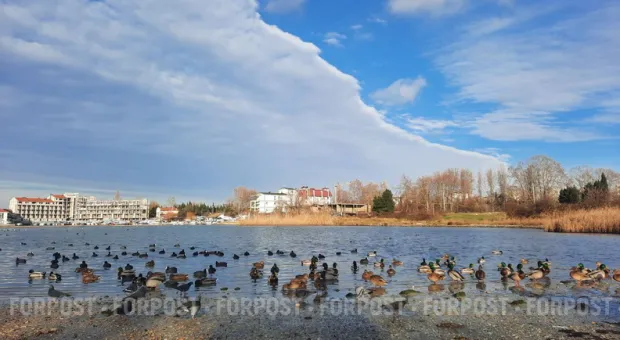 Новости Севастополя - Завтра Вадим Елизаров научит молодежь жить