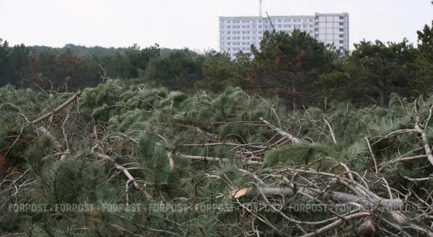 Новости Севастополя - Севастопольские охотники вынуждены промышлять в лесах Крыма