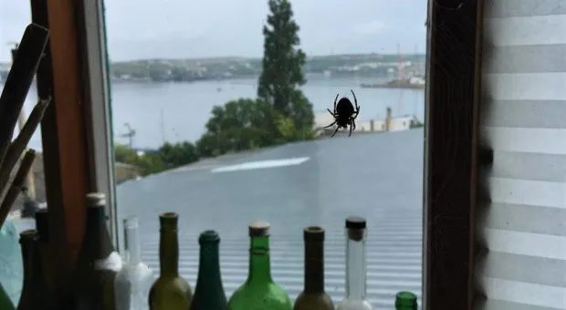 Новости Севастополя - 