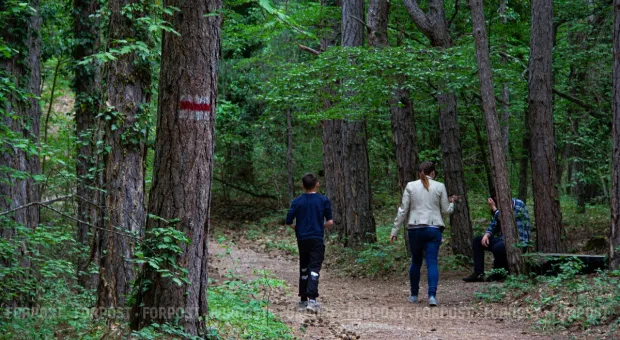 Новости Севастополя - Херсонес AR: машина времени в твоём смартфоне