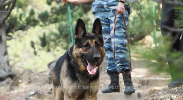 Новости Севастополя - От древности до Русской весны: книгу о севастопольцах презентовали в Москве и Севастополе