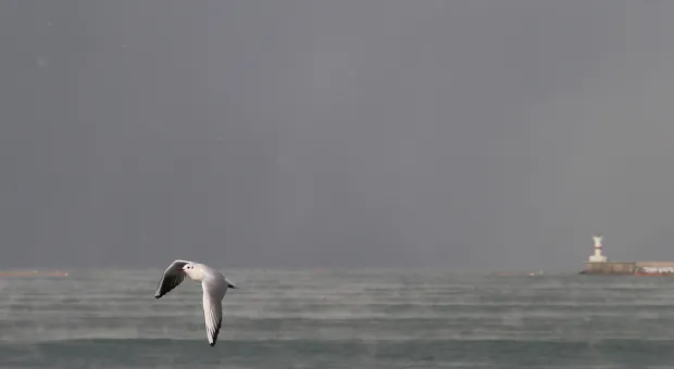 Новости Севастополя - Севастополь впереди всей России по росту рождаемости