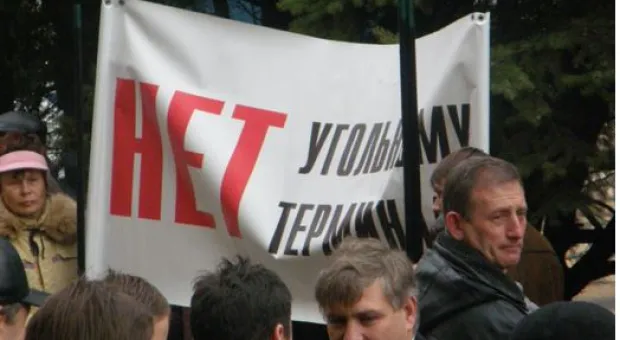 Новости Севастополя - На территории гераклейского полуострова создан ботанический заповедник