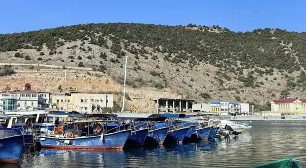 Новости Севастополя - Зелёные зоны вместо жилой застройки: о чём переживают жители Инкермана