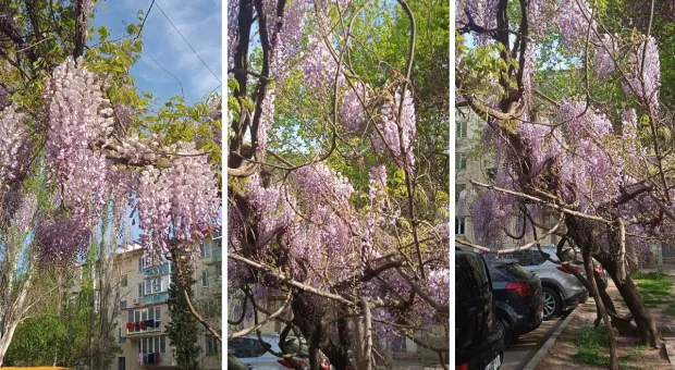 Новости Севастополя - Стали известны новые подробности ЧП с опрокинувшимся плавкраном в Севастополе 