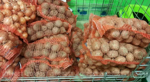 Новости Севастополя - В севастопольском драмтеатре провели учения