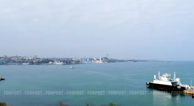 Новости Севастополя - Как гибнут зелёные лёгкие Севастополя