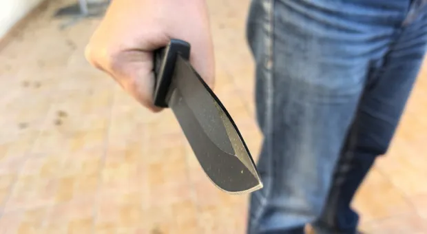 Новости Севастополя - Застройщики скандального коттеджного посёлка сделали предложение властям Севастополя