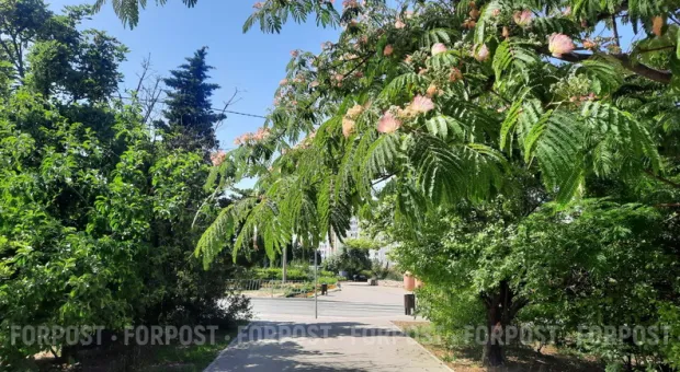 Новости Севастополя - Украина не дает газ Севастополю: от отопления отключены 360 домов