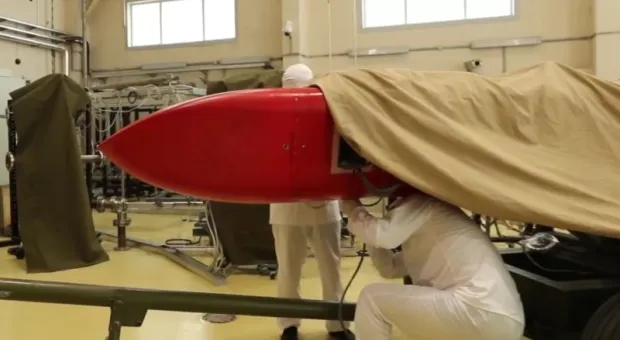 Новости России - Трудами учёных песня про тополиный пух может стать непонятной