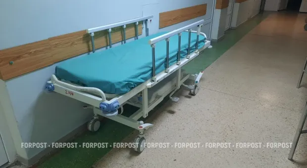 Новости Севастополя - Австрийцы открестились от проекта театра оперы и балета в Севастополе 