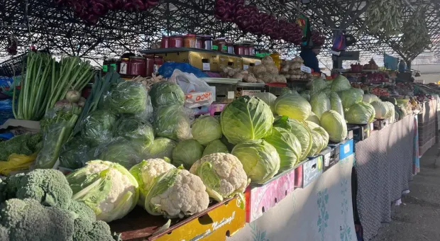 Новости Севастополя - Сколько денег заплатит Крым для похвальбы перед инвесторами