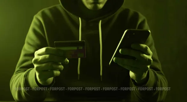 Новости Севастополя - Строить и содержать бездомных животных в Севастополе будут на пожертвования 