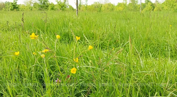 Новости Севастополя - Севастопольцев научат спасать жизни 