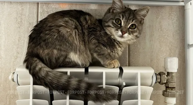 Новости Севастополя - 