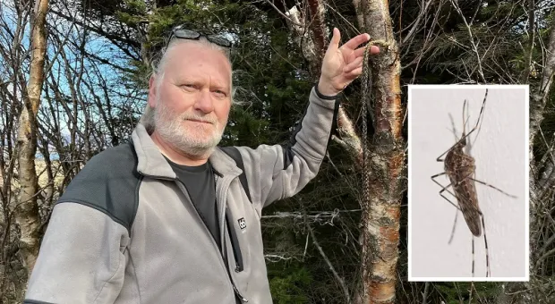 Мировые новости - Пытавшийся зарезать персонал приюта объяснил свои действия наследием Каддафи