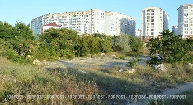 Новости Севастополя -