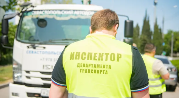 Новости Севастополя - В Азовском море хотят разрешить вылов элитной рыбы