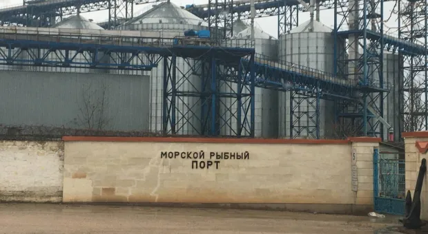 Новости Севастополя - Детские и спортивные площадки обошлись Севастополю очень дорого