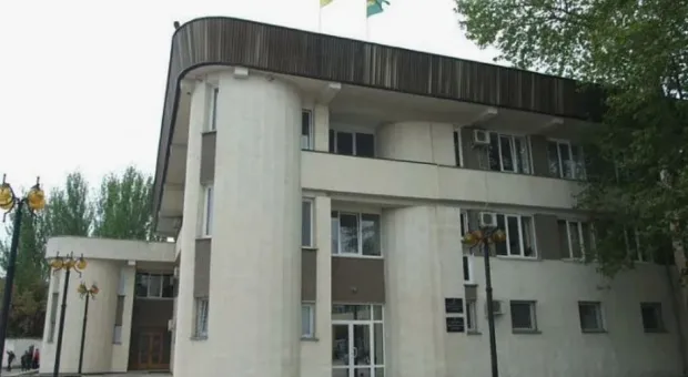 Новости Севастополя - Краснокнижного дельфина из Крыма контрабандисты вывезли на Украину