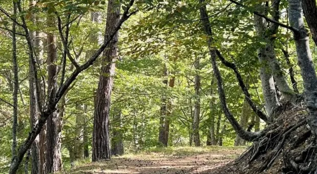 Новости Крыма - Владимир Путин меньше чем за день выполнил просьбу разведчика из севастопольской бригады