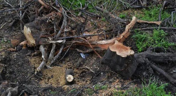 Новости Севастополя - В Севастополе водитель сбил ребёнка и скрылся