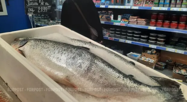 Новости России - Налёт беспилотников на Крым продолжается уже сутки