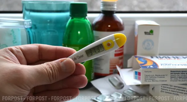 Новости Севастополя - В Севастополе на взятке погорел директор автошколы