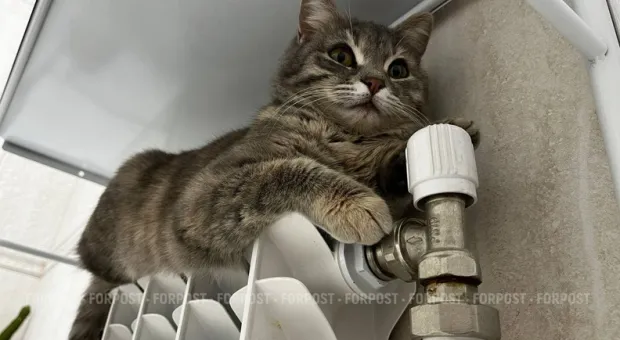 Новости Севастополя - Севастополь замерзает