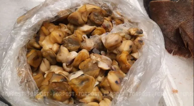 Новости Крыма - 