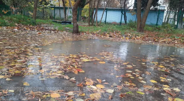 Новости Севастополя - Севсети #661. Царь-хлеб, Марс и находка для стилистов 