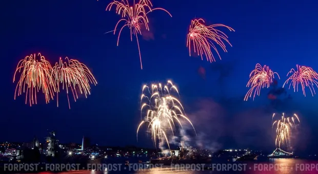 Новости Севастополя - Жертвы праздника: почему салюты смертельны для крымских птиц 