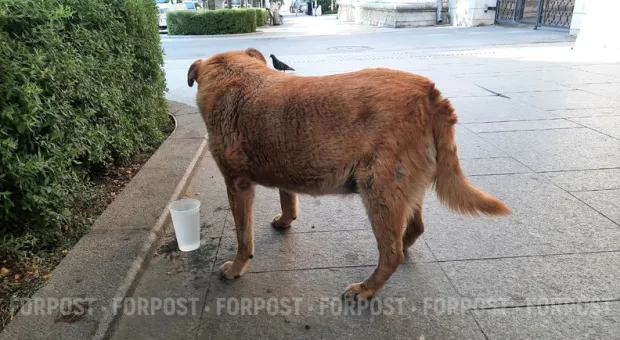 Новости Севастополя - 100 счастливых вкладчиков Севастополя
