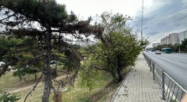 Новости Севастополя - Севастопольский пример дает надежду России, - Станислав Смагин 