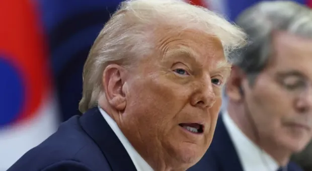 Мировые новости - Застройщик отказывается возвращать Севастополю землю с фисташками у бухты Омега 