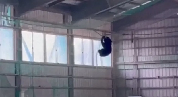 Мировые новости - Бывший член правительства города вернулся на севастопольский ринг 