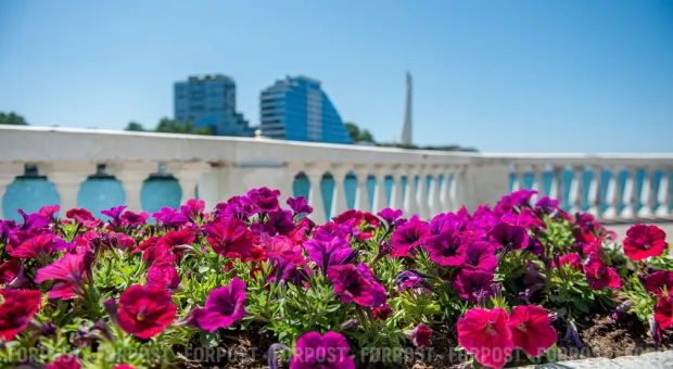 Новости Севастополя - В Севастополе появились камеры для слежения за камерами