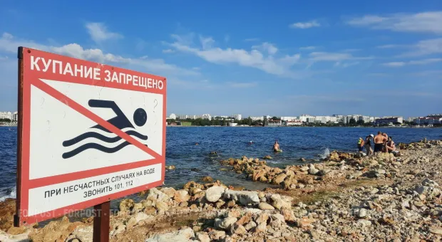 Новости Севастополя - Севсети #665. Ощущение весны и милости от государства