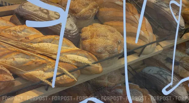 Новости Севастополя - «Рукожопы, вон из правительства!»: Развожаев хотел купить плакат художника Чижова